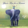YOU’RE HERE FOR A REASON BOOK -Baby Haven Shop mps youre here for a reason book