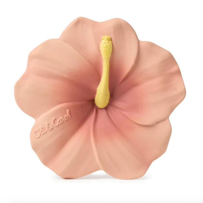 IRIS THE HIBISCUS 3 IRIS THE HIBISCUS