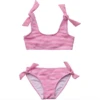 RASPBERRY STRIPE TIE CROP BIKINI